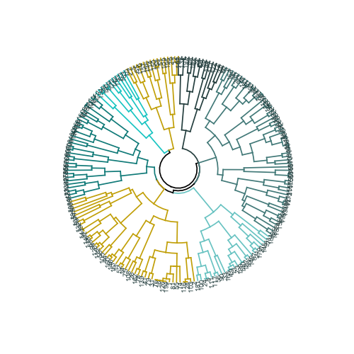 Иерархическая кластеризация категориальных данных в R - 13